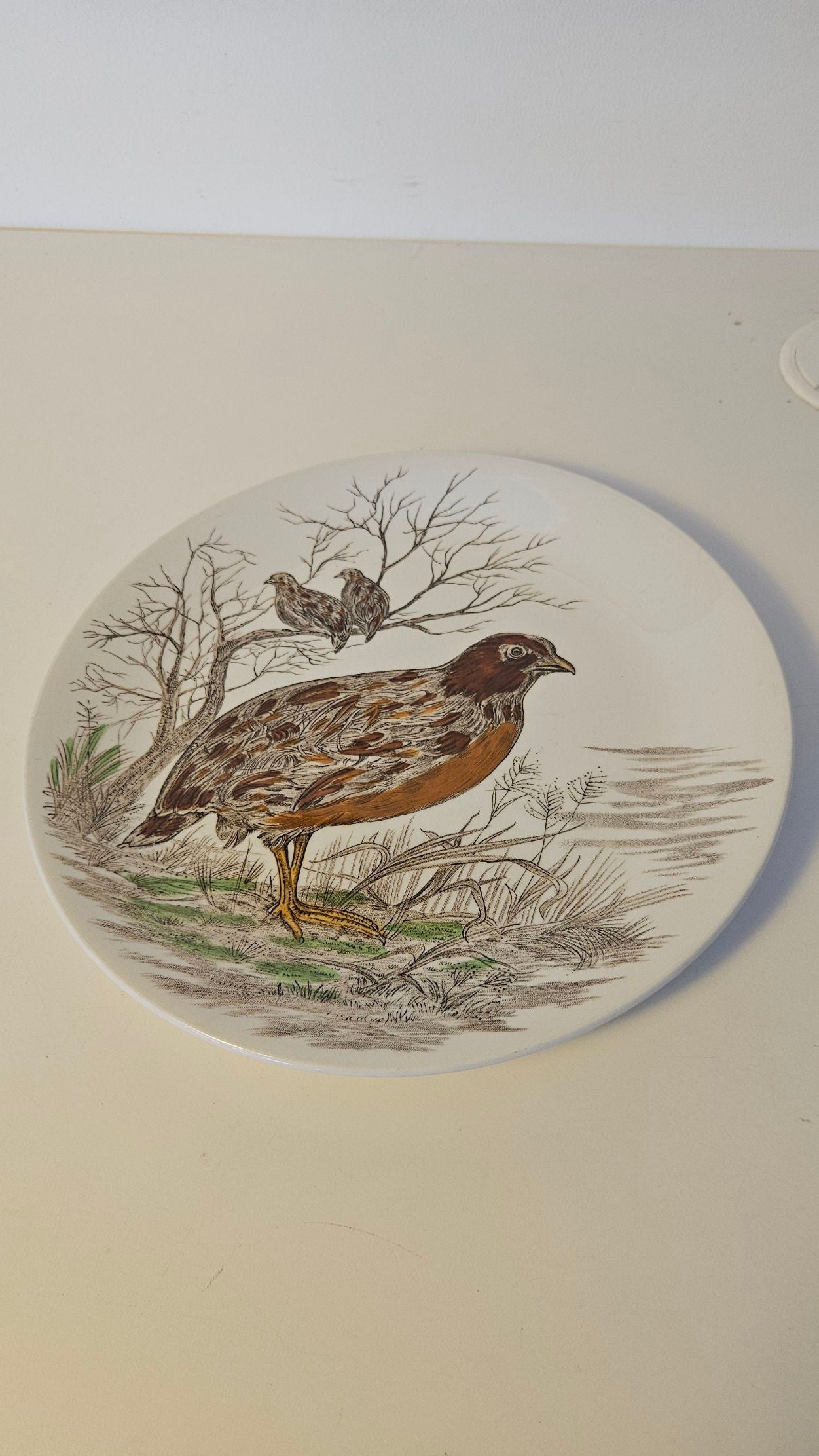 Quail - Fugleplatte